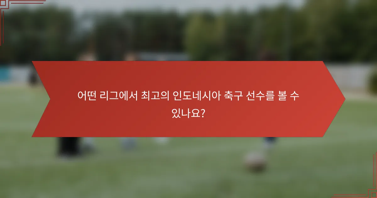 어떤 리그에서 최고의 인도네시아 축구 선수를 볼 수 있나요?