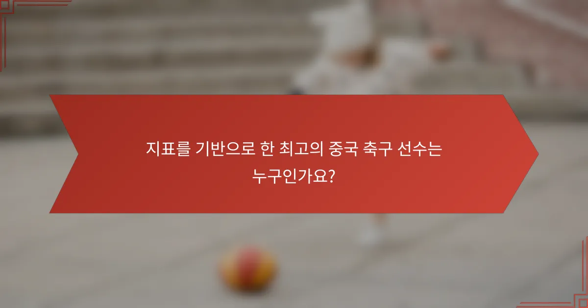 지표를 기반으로 한 최고의 중국 축구 선수는 누구인가요?